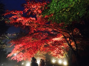 attachment00-%e3%81%ae%e3%82%b3%e3%83%94%e3%83%bc-2