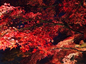 attachment01-%e3%81%ae%e3%82%b3%e3%83%94%e3%83%bc