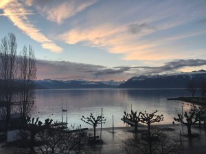 8E8B1391-F82E-40CF-89D0-29C699D10049