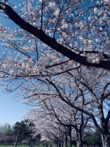 ２０１９・４・９